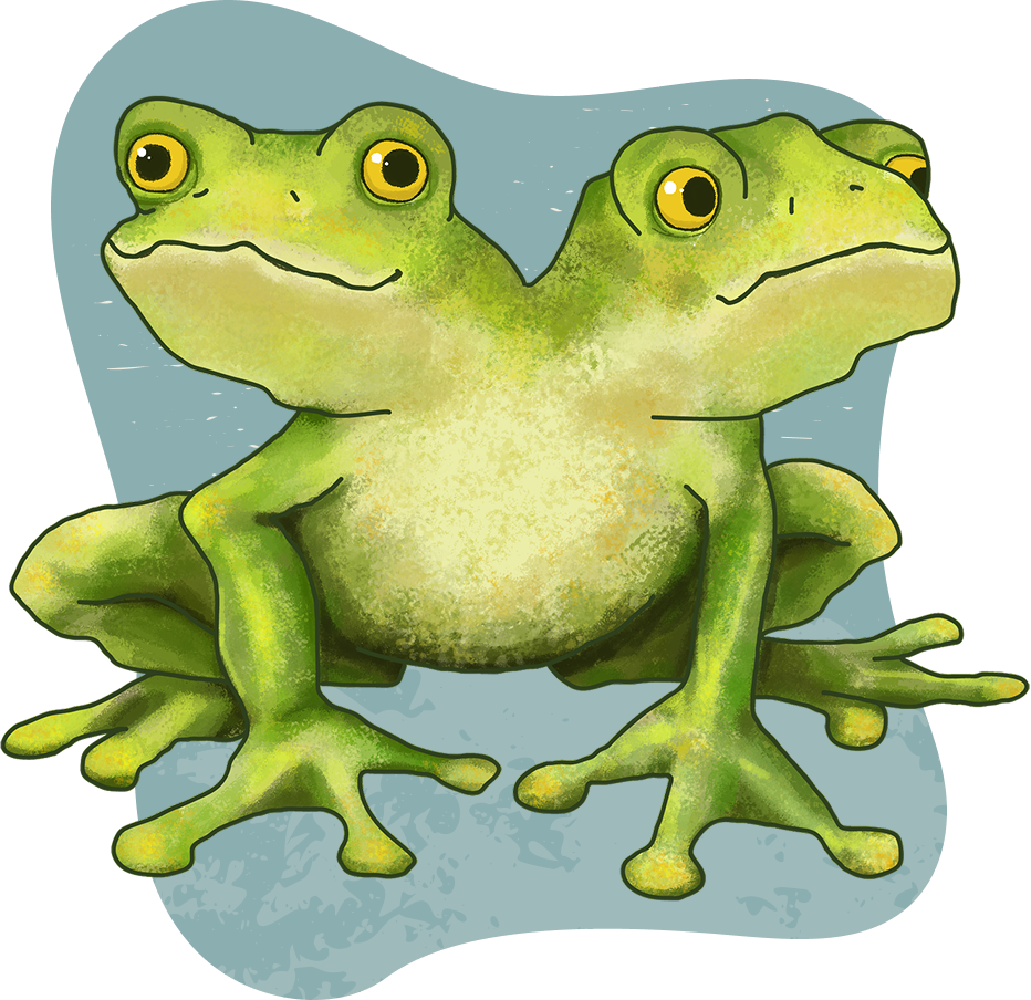 FROGSKIN Mascot: A silly double-headed frog illustration